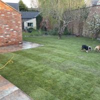 Landscaping & Patio Installation
